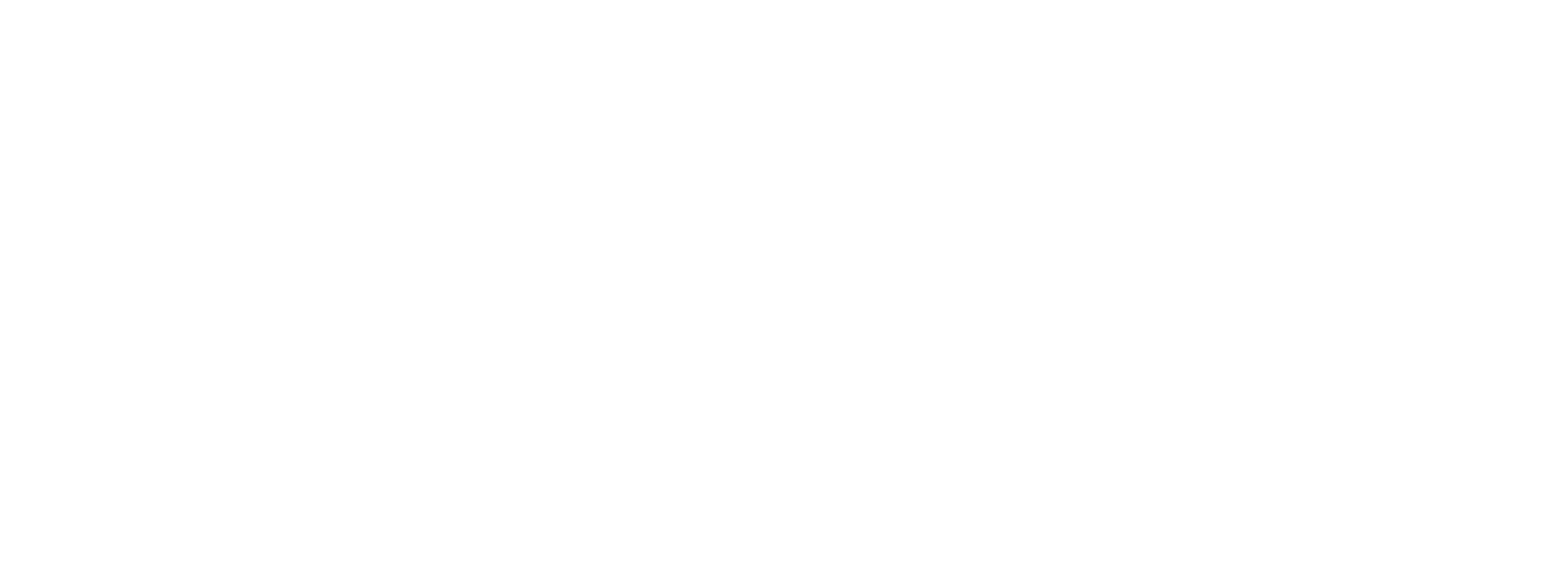Taxfly Logo